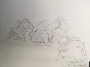 sheridan animation life drawing farm